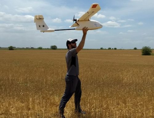 Mapeo de bosques nativos con drones que ayudan a detectar la tala ilegal