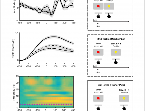 EEG Dynamics of Error Processing and Associated Behavioral Adjustments in Preschool Children