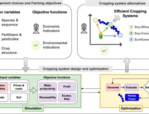 AgrOptim: A novel multi-objective simulation optimization framework for extensive cropping systems