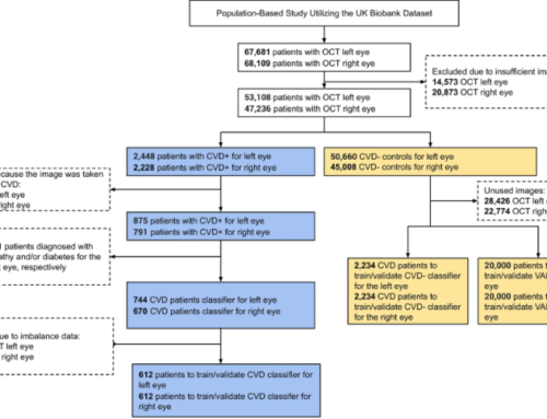 Predicting cardiovascular disease risk using retinal optical coherence tomography imaging